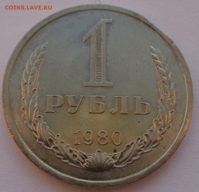 Годовики 61,67-72,74,75,77-83,88 ФИКС до 15-00 15.12.16г. - 80-2.JPG
