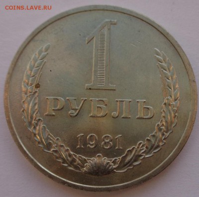 Годовики 61,67-72,74,75,77-83,88 ФИКС до 15-00 15.12.16г. - 81-2.JPG