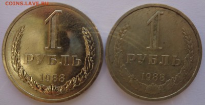Годовики 61,67-72,74,75,77-83,88 ФИКС до 15-00 15.12.16г. - 88-1.JPG