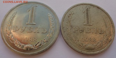 Годовики 61,67-72,74,75,77-83,88 ФИКС до 15-00 15.12.16г. - 88-2.JPG