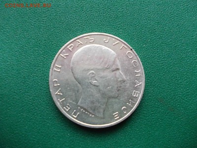 Югославия 50 динар 1938 г. до 18.12.16 г.в 22-00 по МСК - DSCN1881