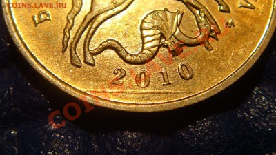 10 копеек м 2010 брак аверса и реверса. - DSC05113.JPG