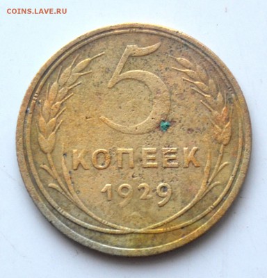 5 копеек 1929 г до 22.30 мск 18.12.20016 г - DSC_0706.JPG