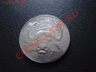 Алжир 1 динар 2007 Бык до 13.01 в 21.00 М - P1020857.JPG