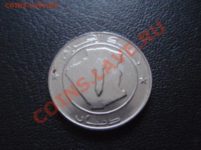 Алжир 1 динар 2007 Бык до 13.01 в 21.00 М - P1020856.JPG