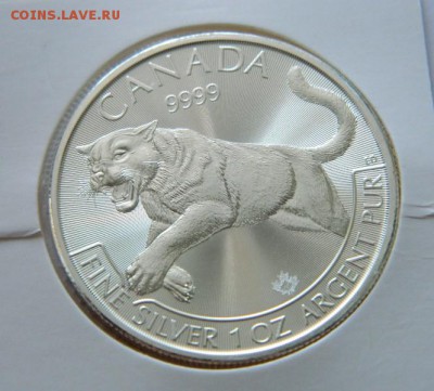 5$ Канада Ягуар,унцовка,серебро, 17.12.2016,22-00 по москве - DSCN6089