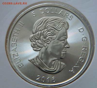 5$ Канада Ягуар,унцовка,серебро, 17.12.2016,22-00 по москве - DSCN6090