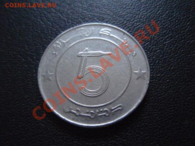 Алжир 5 динаров  2007 Слон до 13.01 в 21.00 М - P1020860.JPG