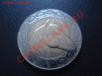 Алжир 100 динаров 2009 Лошадь до 13.01 в 21.00 М - P1020870.JPG