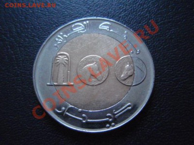 Алжир 100 динаров 2009 Лошадь до 13.01 в 21.00 М - P1020869.JPG