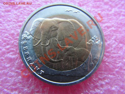 -БМ-Турция- 1 лира 2009 - слоник - 13 января 22-00 - 1 лира - слон.JPG