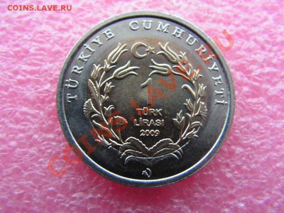 -БМ-Турция- 1 лира 2009 - черепашка - 13 января 22-00 - 1 лира - тартила (1).JPG