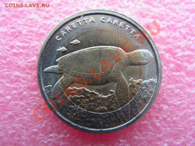 -БМ-Турция- 1 лира 2009 - черепашка - 13 января 22-00 - 1 лира - тартила.JPG