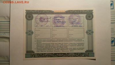 АКЦИИ ТАТАРСТАНА. НА ОЦЕНКУ. - Нижникамск2