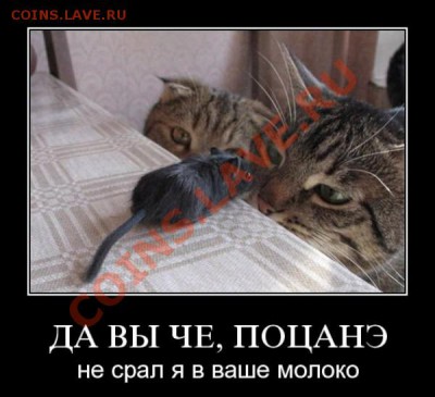 юмор - 23716347_477