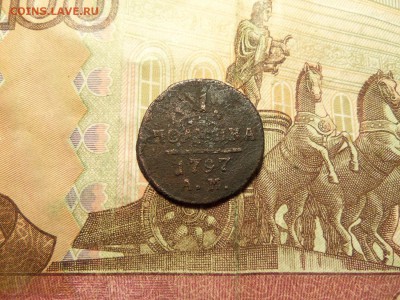 Полушка 1797г. АМ. До 16.12.2016г.,22.оо мск. - 101_1684.JPG