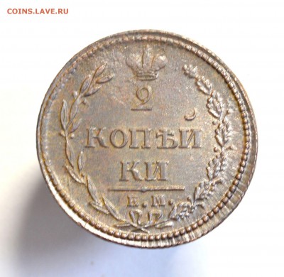 семишники на оценку - DSC_2623.JPG