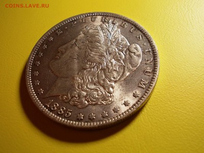 США доллар 1885 года до 18.12.16 г. в 22-00 по МСК - DSCN2204