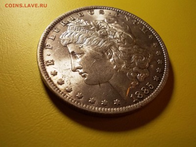 США доллар 1885 года до 18.12.16 г. в 22-00 по МСК - DSCN2203