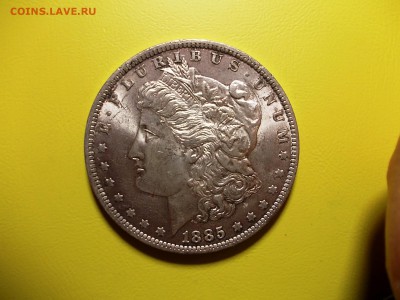 США доллар 1885 года до 18.12.16 г. в 22-00 по МСК - DSCN2200