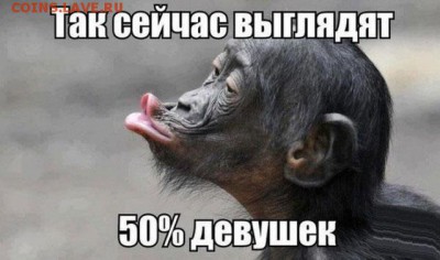 веселые картинки - 21