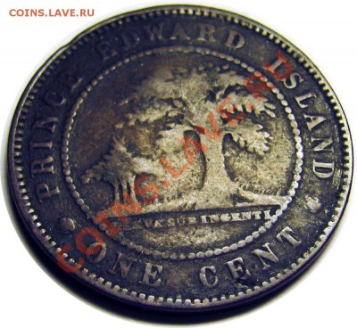 N44 1¢ Остров Принца Эдуарда 1871 G до 15.01 в 22°° - N44 1c PEI 1871 G_2
