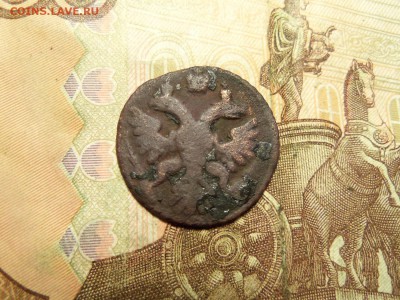 Полушка 1743 год. До 18.12.2016 г.,22.00 мск. - 101_1822.JPG