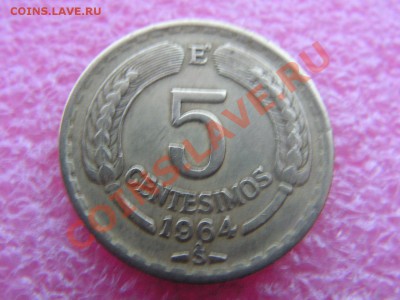 -Чили- 5 чентесимо 1964(птица) -- 13 января 22-00 - 5 чентесимо 1964 (1).JPG