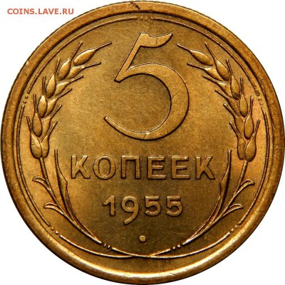 5 копеек 1955, штемпельный! До 21 декабря 22-30 - DSCN1322.JPG