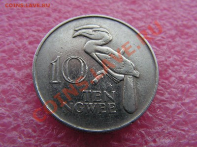 -Замбия- 10 нгвее 1968(птица) -- 13 января 22-00 - 10 нгвее 1968.JPG