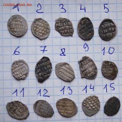 15 чешуек - 005.JPG