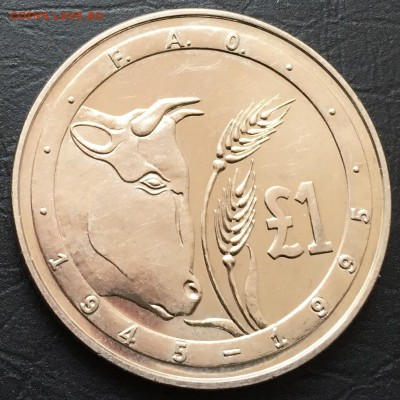 1 фунт 1995 Кипр ФАО до 22.12 22:00 - image-16-12-16-11-07-1