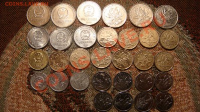 Китай 31 монета одним лотом до 21-00 16.01.11 - DSC04494.JPG