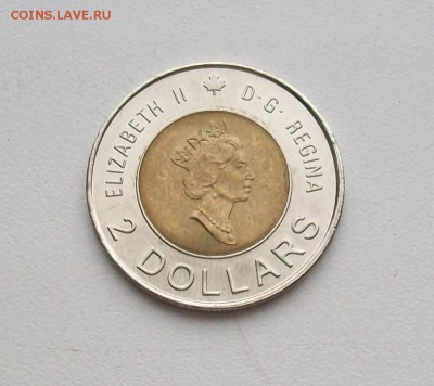 Биметалл! Канада 2 доллара Знание Медведи - 100_6419