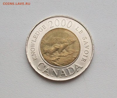 Биметалл! Канада 2 доллара Знание Медведи - 100_6417
