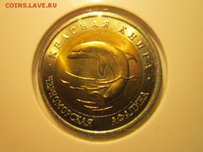 с 200 кк 1993 Афалина анц до 16.12.2016 в 22:30 - IMG_1644.JPG