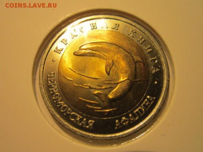 с 200 кк 1993 Афалина анц до 16.12.2016 в 22:30 - IMG_1643.JPG