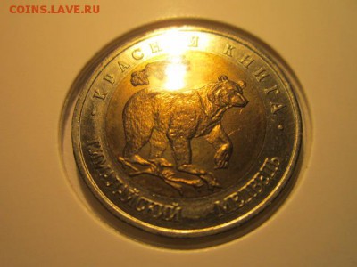 с 200 кк 1993 Медведь анц до 16.12.2016 в 22:30 - IMG_1647.JPG