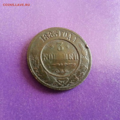 3 копейки 1883г. до 21.12 22.00 МСК - 20161009_143550-1-1