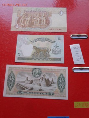 Колумбия 5 песо 1980  г  UNC до 20.12  в 21-45 мск - DSC06299.JPG
