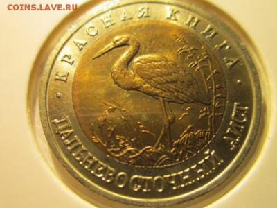 с 200 кк 1993 Аист анц до 16.12.2016 в 22:30 - IMG_1657.JPG