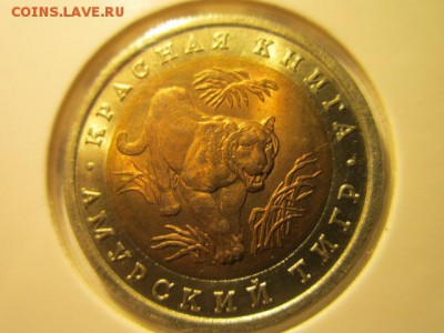 с 200 кк 1992 Тигр анц до 16.12.2016 в 22:30 - IMG_1652.JPG