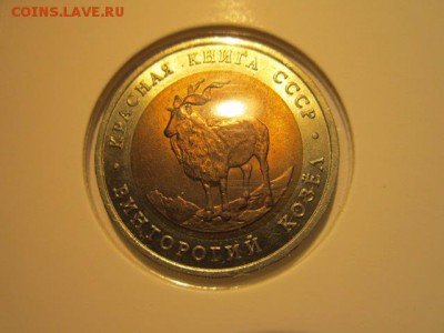 с 200 кк 1991 Козел анц до 16.12.2016 в 22:30 - IMG_1648.JPG