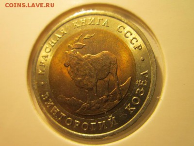 с 200 кк 1991 Козел анц до 16.12.2016 в 22:30 - IMG_1649.JPG