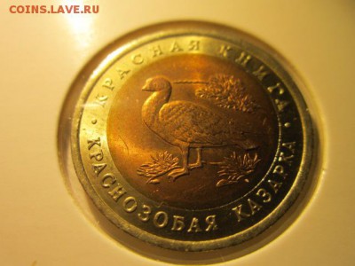 с 200 кк 1992 Казарка анц до 16.12.2016 в 22:30 - IMG_1655.JPG