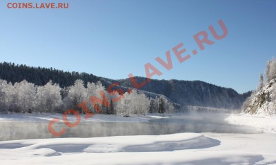 ФОТО - просто фото. Те что получились удачными. - IMG_3819