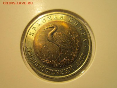 с 200 кк 1993 Аист до 23.12.2016 в 22:30 - IMG_1676.JPG