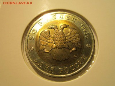 с 200 кк 1993 Медведь до 23.12.2016 в 22:30 - IMG_1679.JPG
