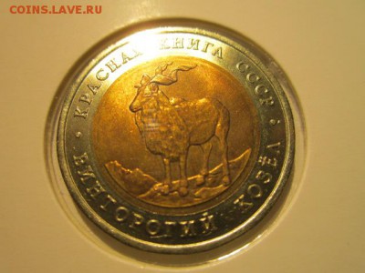 с 200 кк 1991 Козел до 23.12.2016 в 22:30 - IMG_1684.JPG