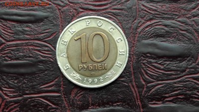 Казарка. До 23.12 - IMG_20161217_201958_28